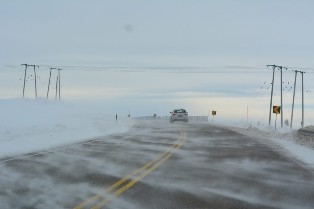 consigli-del-tcs-viaggiare-autunno-visibilita-gomme-animali-guida-inverno