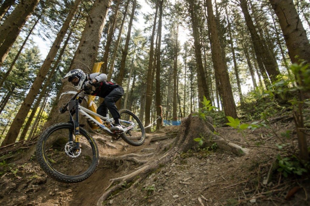 rogue-racing-gravity-pneumatici-mtb-pirelli-team-theory-global-enduro