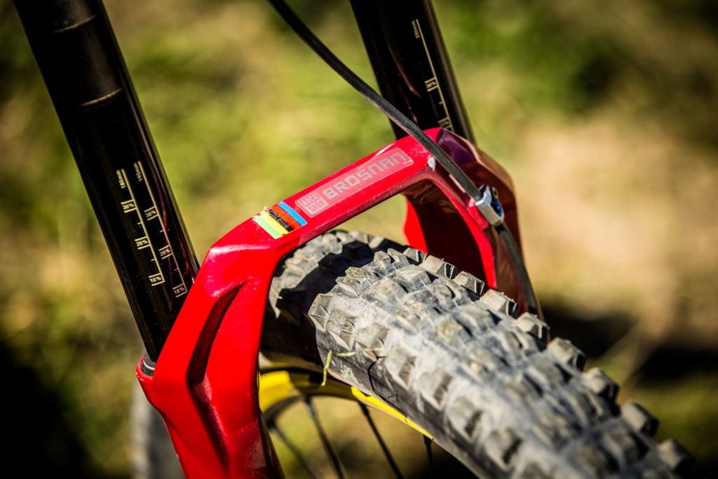 maxxis-minion-pneumatici-mtb-colin-bailey-dhf-dhr-ii-gomme