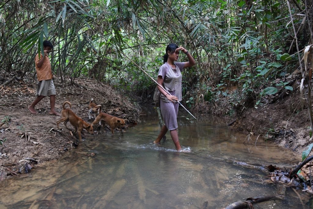 birdlife-pirelli-e-bmw-a-difesa-dellecosistema-in-indonesia