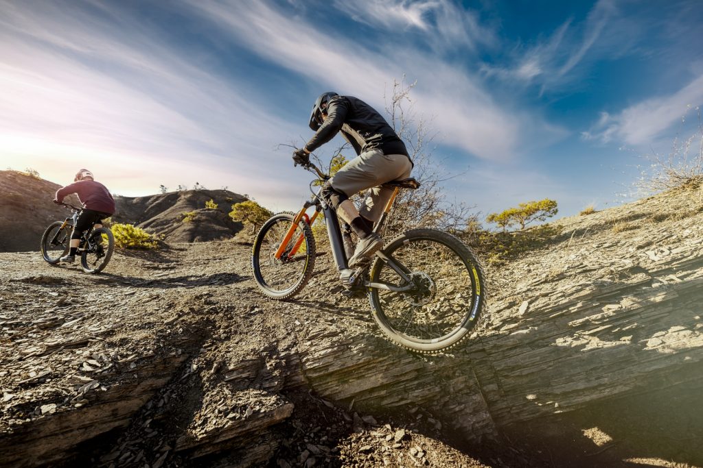 Wild E-Wild Racing Line Michelin mountain bike mtb