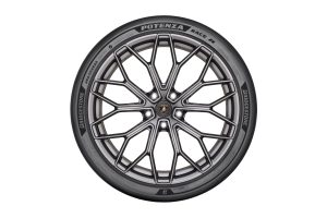 Bridgestone  Potenza Race R semi-slick Lamborghini Revuelto SV 